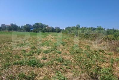 Teren Construcții extravilan de 1600 mp, în Micro 11