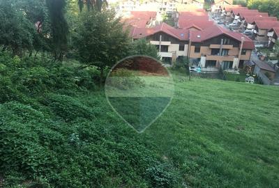 Teren 2,900mp Brasov / Strada Ciresului - 3