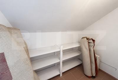 Casa individuala zona excelenta, Dambu Rotund, 307 mp curte - 10