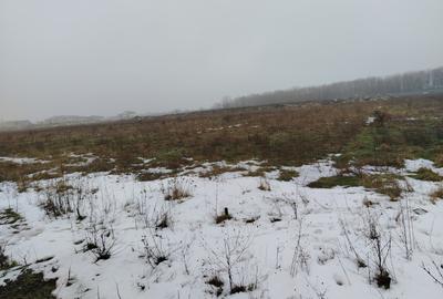 Teren Construcții intravilan de 1000 mp, în Cârcea