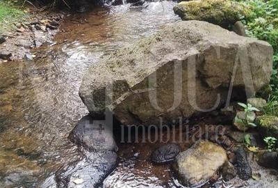 Cabana de vanzare in Marisel - 10