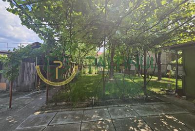 Casa de vanzare pe un nivel in Turnisor, Sibiu - 11