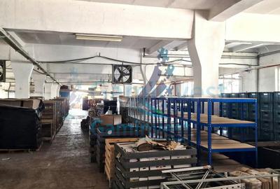 Hala de vanzare Productie Depozitare Calea Clujului Oradea - 3
