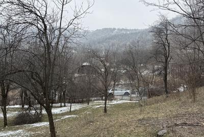 Teren 4652 mp cu izvor pe el, Lunca Mare, lângă păstrăvăria Doftana - 12
