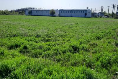 FARA COMISIOANE in Joita aproape de drumul asfaltat teren de 4600mp merita vazut - 3