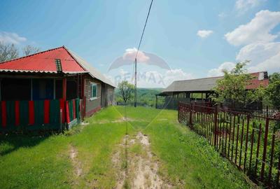 De vânzare casă cu teren și pădure 55706 mp - Șinteu, Valea Târnei - 14