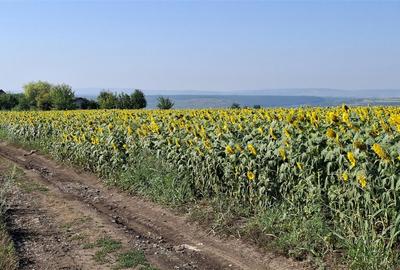 Teren Intravilan 2500 mp.Valea Lupului Rediu,Platoul Beldiman