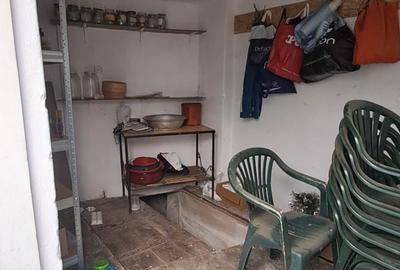 CASA cu anexa si spatiu comercial – de vanzare in BEIUS - 31