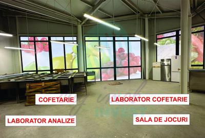 Spatii comerciale de inchiriat, Piata Delfinului - 1