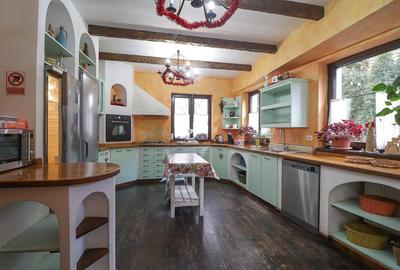 Vila - Busteni - 7