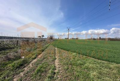 Teren 18.000 mp de vanzare, DN -Stația Meteo spre Valu lu Traian - 2