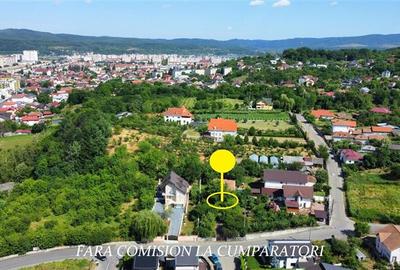 ANL- MORILOR, TEREN 635 MP - 1