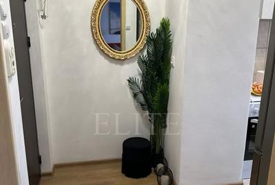 Apartament 2 camere în zona LIVIU REBREANU - 10