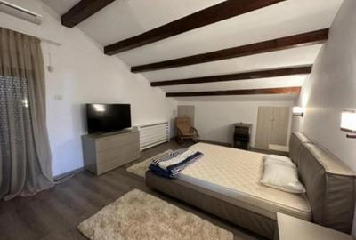 Vila cu piscina pe malul Lacului Snagov teren 2000mp 6900eu/luna sau 1950k vanza - 16