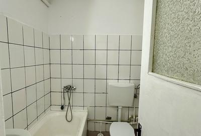 Lacul Tei, langa Facultatea de Constructii - 7