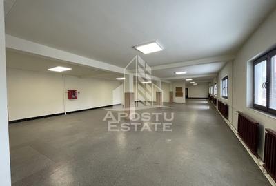 Cladire P+1E+M, 800 mp, teren 1200 mp, Central Dumbravita - 2