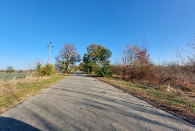 Teren Construcții intravilan de 1800 mp, în Balotești