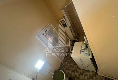 Casa cu 4 camere si teren de 2698 mp in zona Freidorf - 8