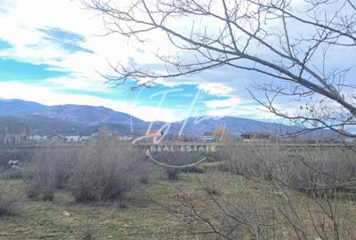 Teren extravilan de vânzare – 500 mp – Tălmaciu, zonă apropiată de intravilan - 12