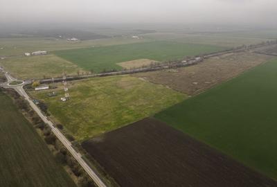 Teren 84000 mp la 20 km de Arad, la DN79 - 5