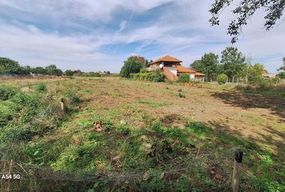 Snagov-Lac - 14