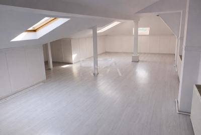 Vilă 9 camere Eminescu, 2 centrale, 355 mp - 2