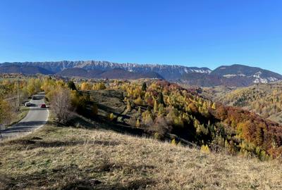 Teren 10000 mp in Moieciu satul Pestera