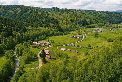 Teren la poalele padurii,Buzaiel,Vama Buzaului,DJ,constructie +utilitati,Brasov - 8