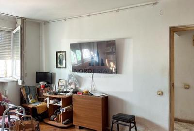 Apartament 2 Camere Piata Victoriei, Monza|Grigore Alexandrescu - 1