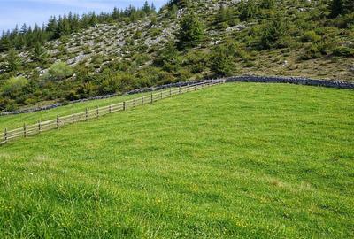 7.000 mp, pozitie spectaculoasa, fara vecini, Fundatica, Brasov - 14
