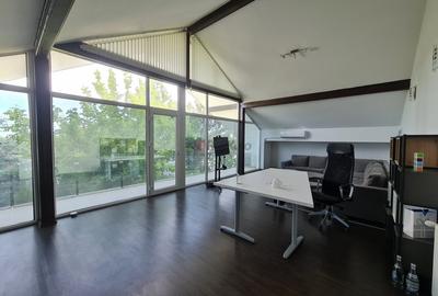 Private Estate langa Bucuresti | Vila, Piscina & Sport Court - 27