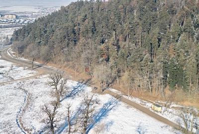 Teren intravilan - 30