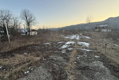 Teren intravilan construcții 10834 mp + construcție- cabană lemn! - 1