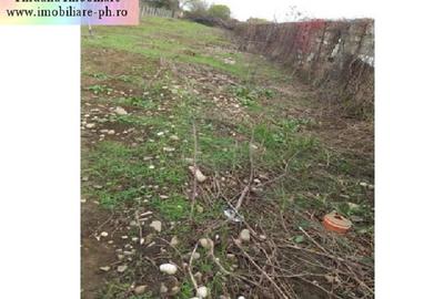 Teren de vanzare - Bereasca (vizavi Gama) - 5
