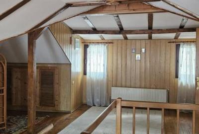 Vila Busteni vedere exceptionala! - 25