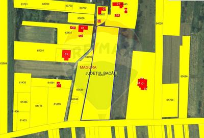 Teren in Magura/Bacau - de vanzare - 3