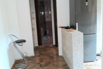 Colentina, Doamna Ghica, Parc Plumbuita, semistradal - 9