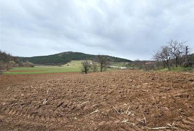 CASA CU TEREN 2846 MP | COMUNA ASTILEU | SAT CALATEA - 23