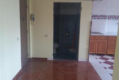 DUPLEX, 3 camere, etaj de mijloc, Calarasilor - Faleza - 8
