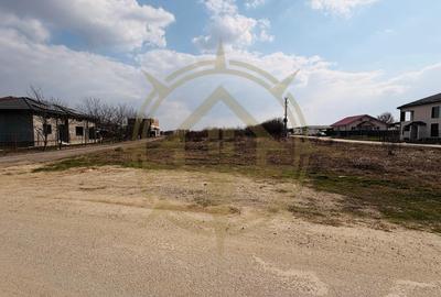 DOM00405 - Teren intravilan 2500 mp | deschidere 17 ml | Tamasi - 4