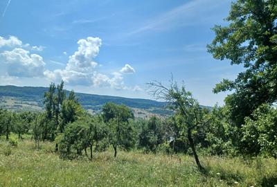 24.141 mp 1h30' de Bucuresti -  ideal casa sau complex retreat - 7