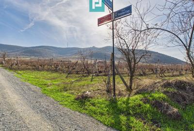 Casuță cu priveliște panoramică spre Cetatea Șiria - 29