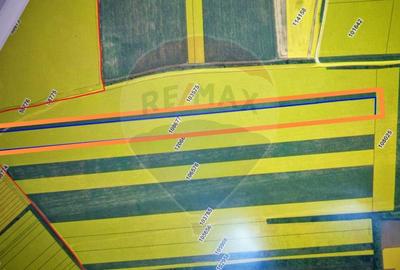 Teren extravilan 33.750 mp I Corbeanca - 1