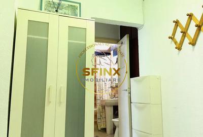 Apartament 2 camere Podul Grant - 7