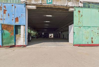 Complex industrial cu hale și teren  în Orțișoara - 4