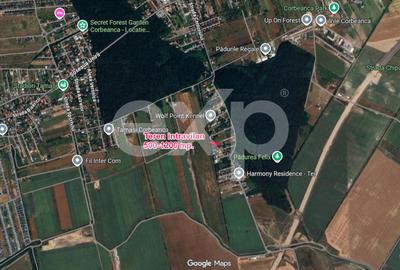 De vanzare teren intravilan intre 500-1200 mp langa padure - 2