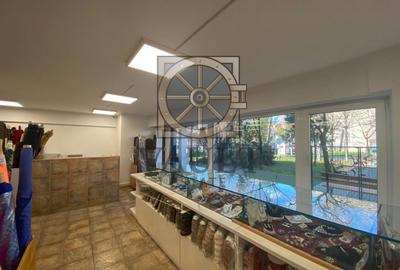 SPATIU STRADAL 567 MP - VAD COMERCIAL - PACHE PROTOPOPESCU - 5