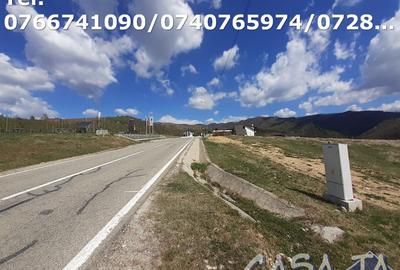 Teren Intravilan(3000mp), Novaci - Ranca - 4
