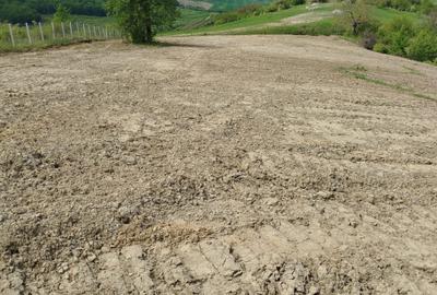 Vânzare teren intravilan – Comuna Dumitra - 3