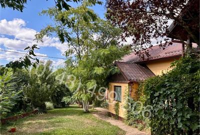 Casa de vanzare Belciugatele - DIRECT PROPRIETAR - 1